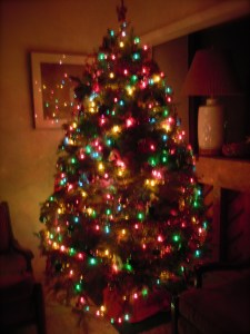 Our Christmas Tree, the night before Christmas eve