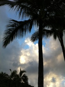 An early morning run