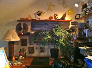 a cleaned out corner