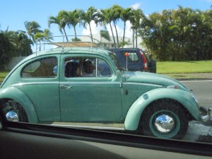 renovated VW Bug