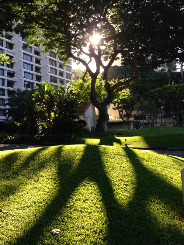 The morning Light and Shadows of January in Honolulu
