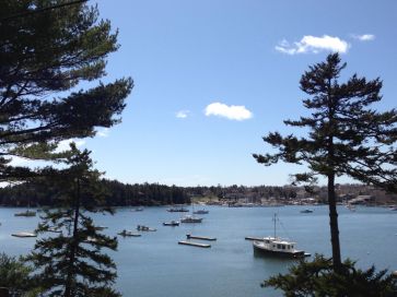 one of many bays and harbors in Acadia National Park