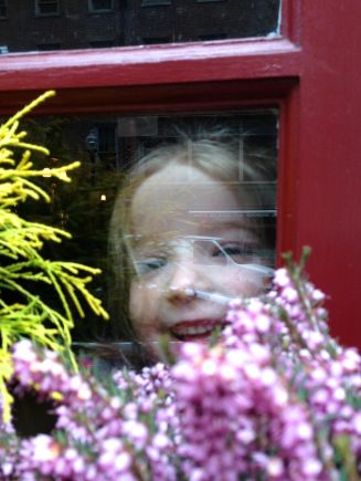 Teeagan peering out of Mr. Dooley's Irish Pub