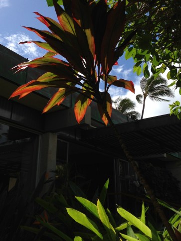 The Dark and Light of Life