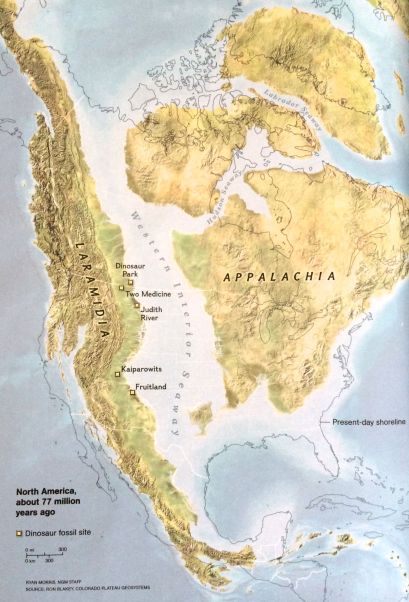 The sea level around North America 77 million years ago