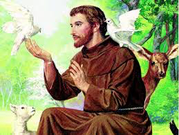 St Francis