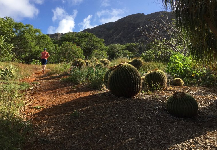 Inside Koko Crater