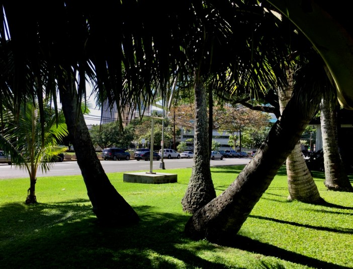 Art Museum on MLK day