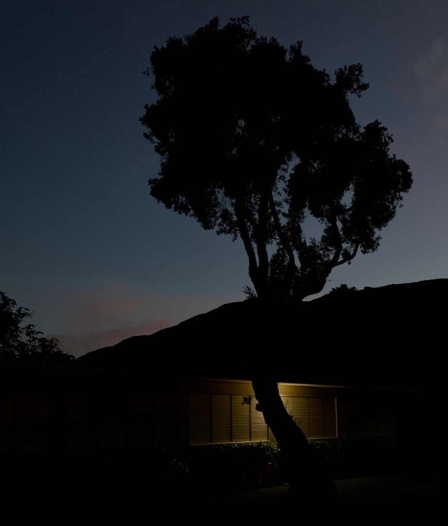 This brought to mind René Magritte. "L'impire des lumières". 