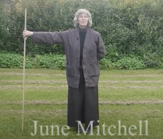 Screen Shot 2020-07-28 at 1.18.37 PM