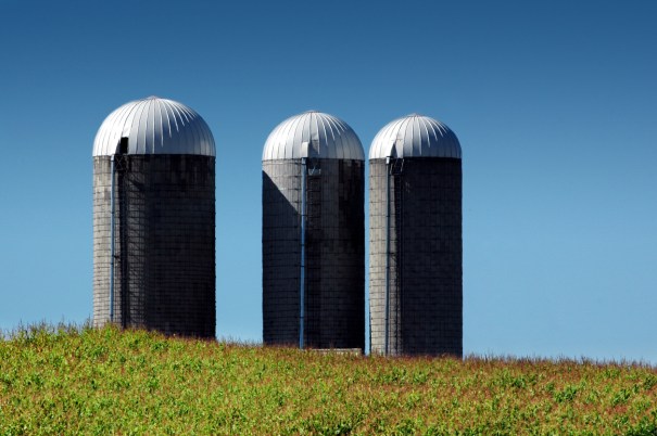 Summertime Silos